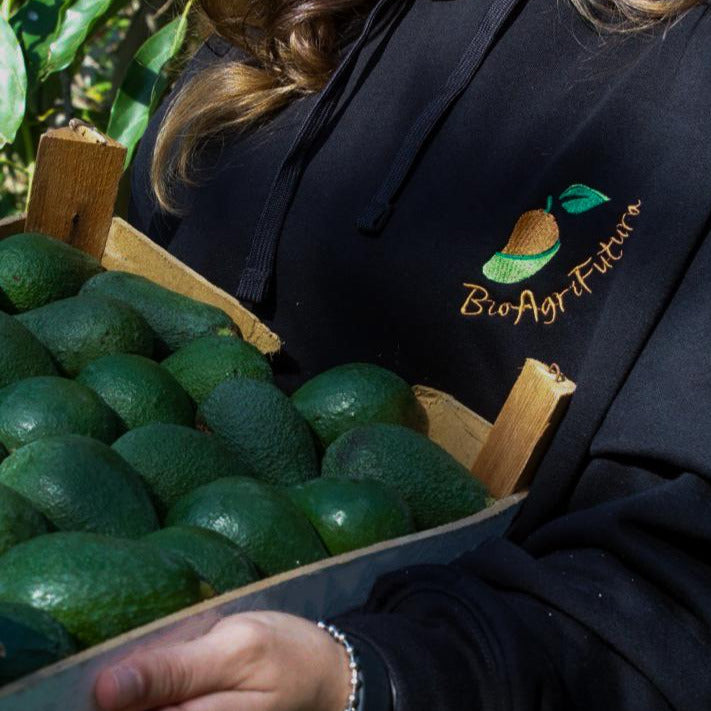 Avocado