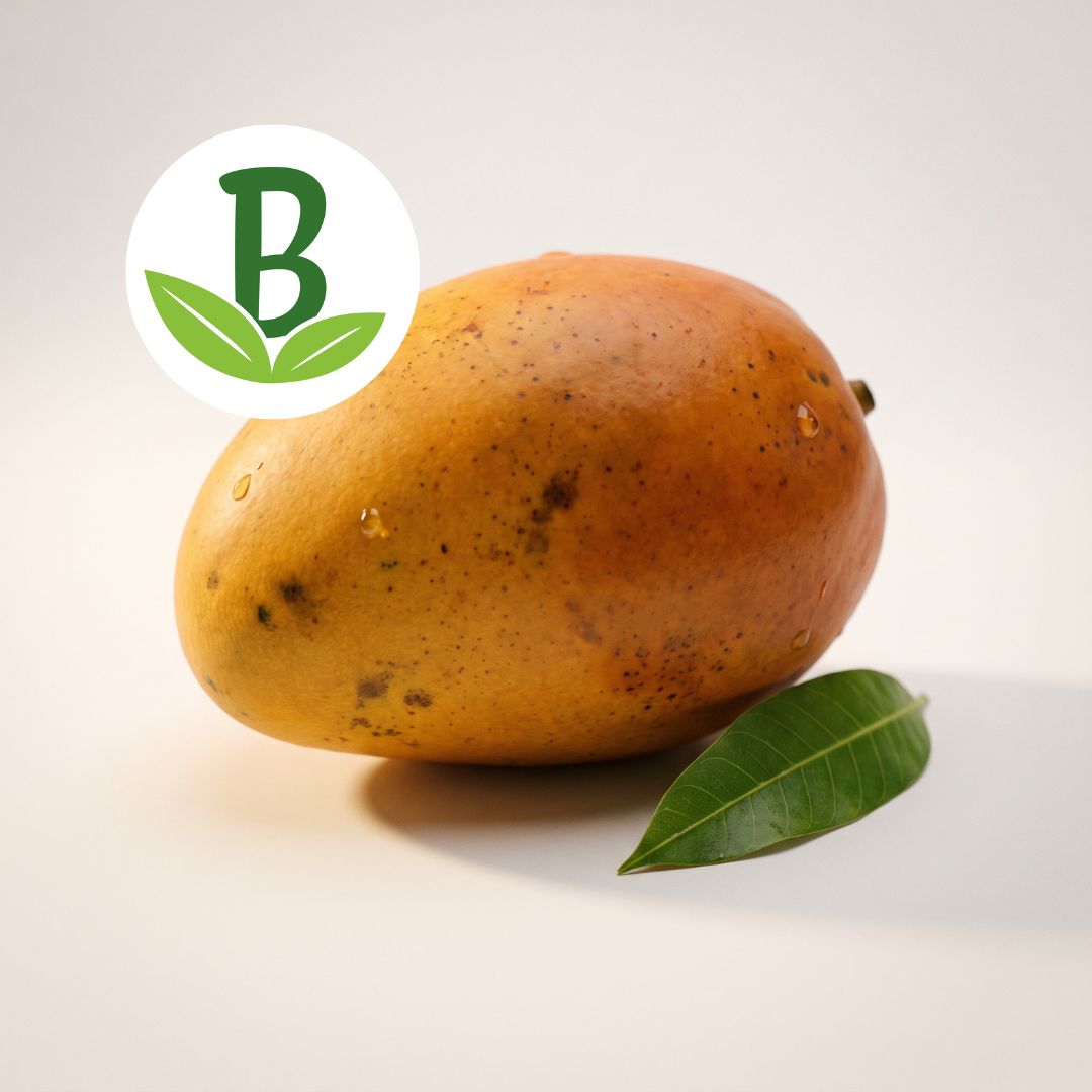 Mango_Biologico_Certificato_coltivato_in_Sicilia_BioAgriFutura
