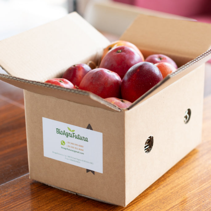 Mango Biologico Siciliano | Fresco e Bio — BioAgriFutura Casetta da 10kg. Mango siciliano biologico maturo con foglie, coltivato in Sicilia