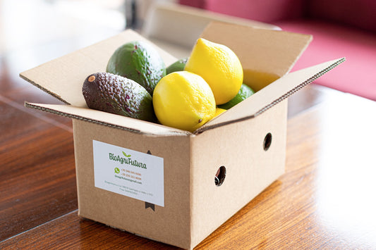 Mix Limoni-Avocado